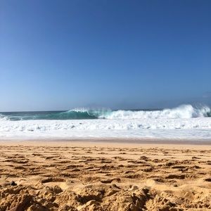 Meet your Posher, Ariel